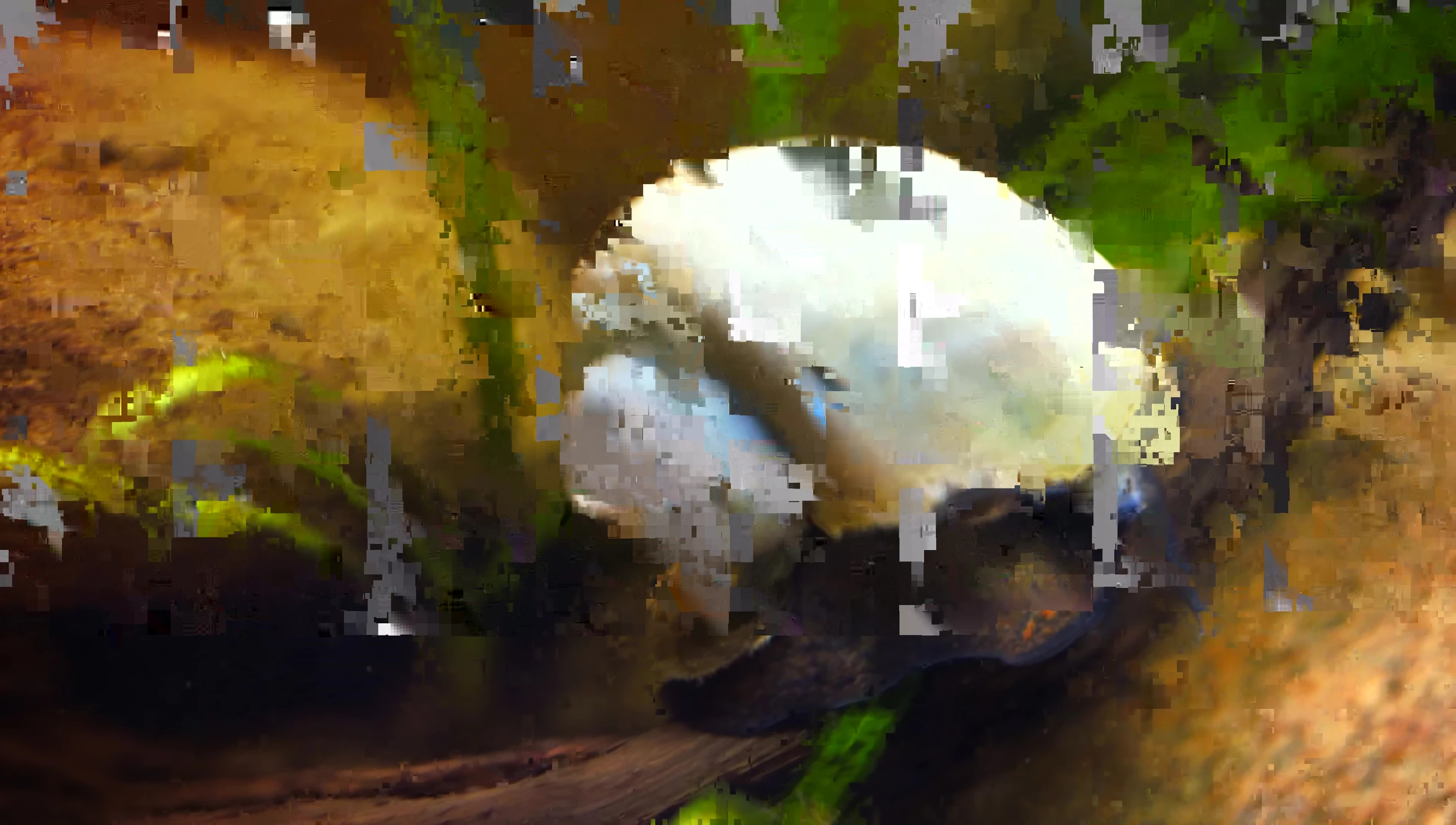 Blue Mystery snail visible on the driftwood