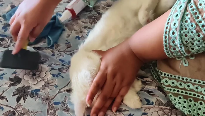 Focus on the upper body.