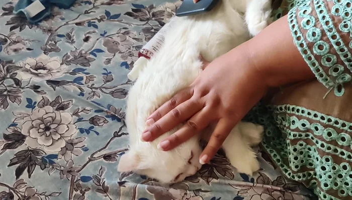 Focus on the upper body.