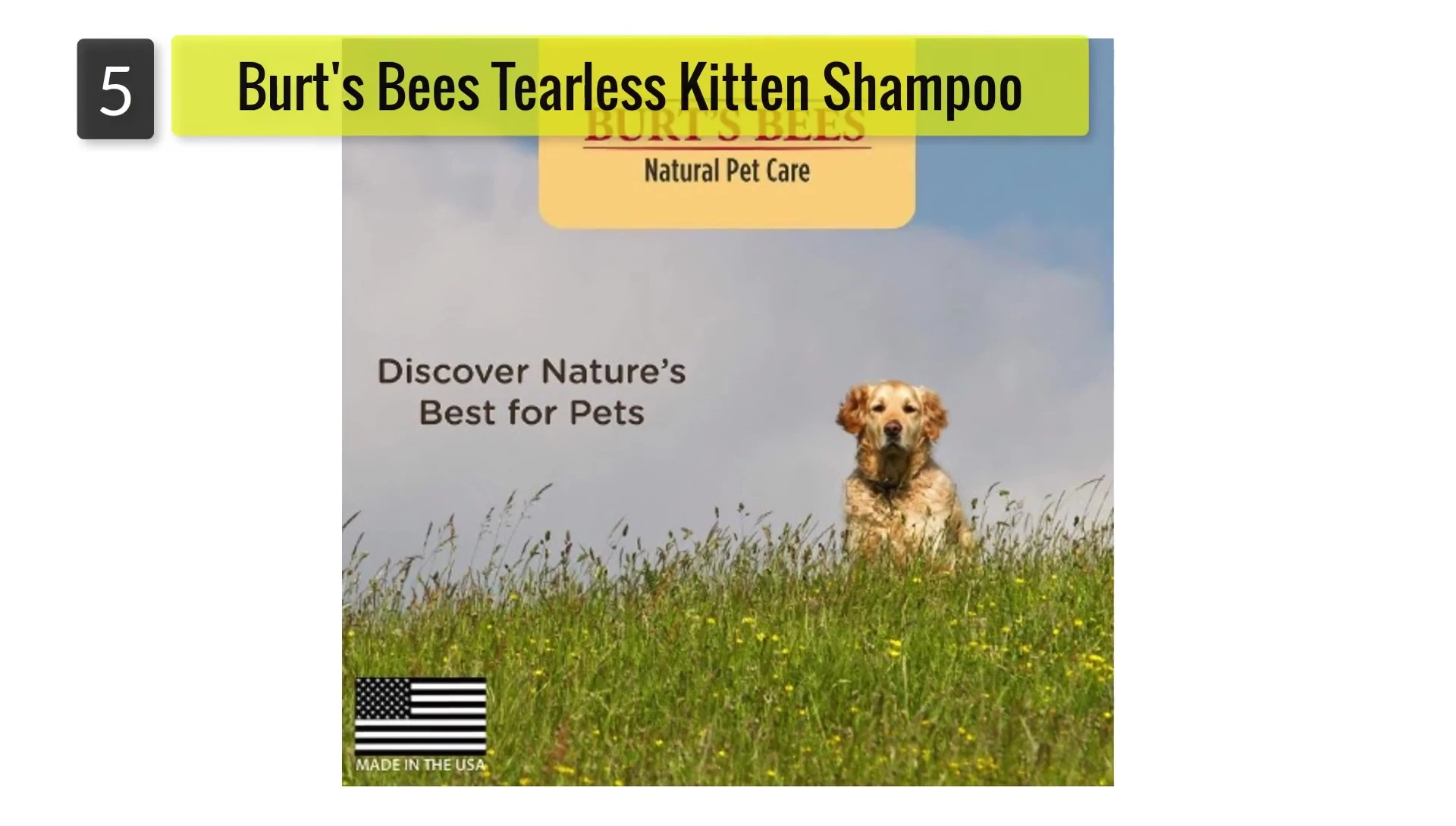 Burt's Bees Tearless Kitten Shampoo bottle