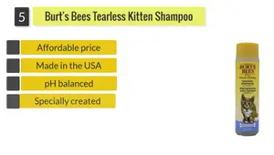 Top 5 Best Pet Shampoos: A Detailed Review for Every Furry Friend