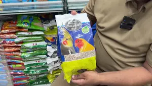 Modina Pet Shop: A Comprehensive Review of Cat & Dog Supplies in Bangladesh