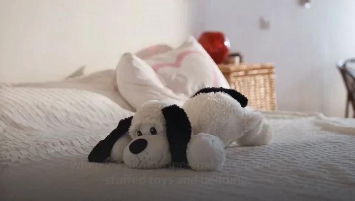 For washable items (clothing, toys, bedding), add apple cider vinegar to laundry soap and wash.