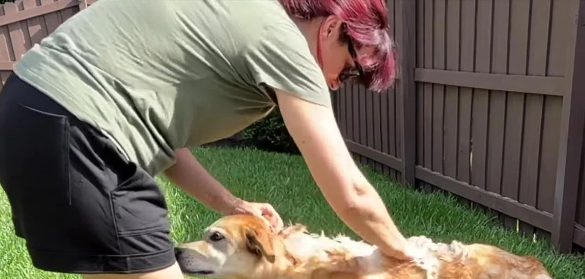 Sarah applying the shampoo to Honey's fur