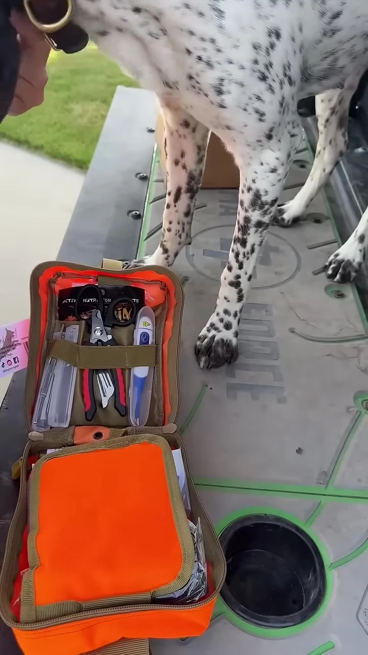 Nail clippers inside the kit