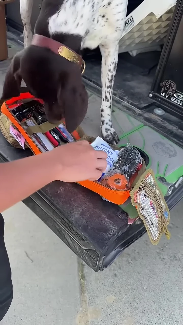 Refills shown