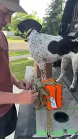 Dogworx Working Dog First Aid Kit Review: A Comprehensive Look
