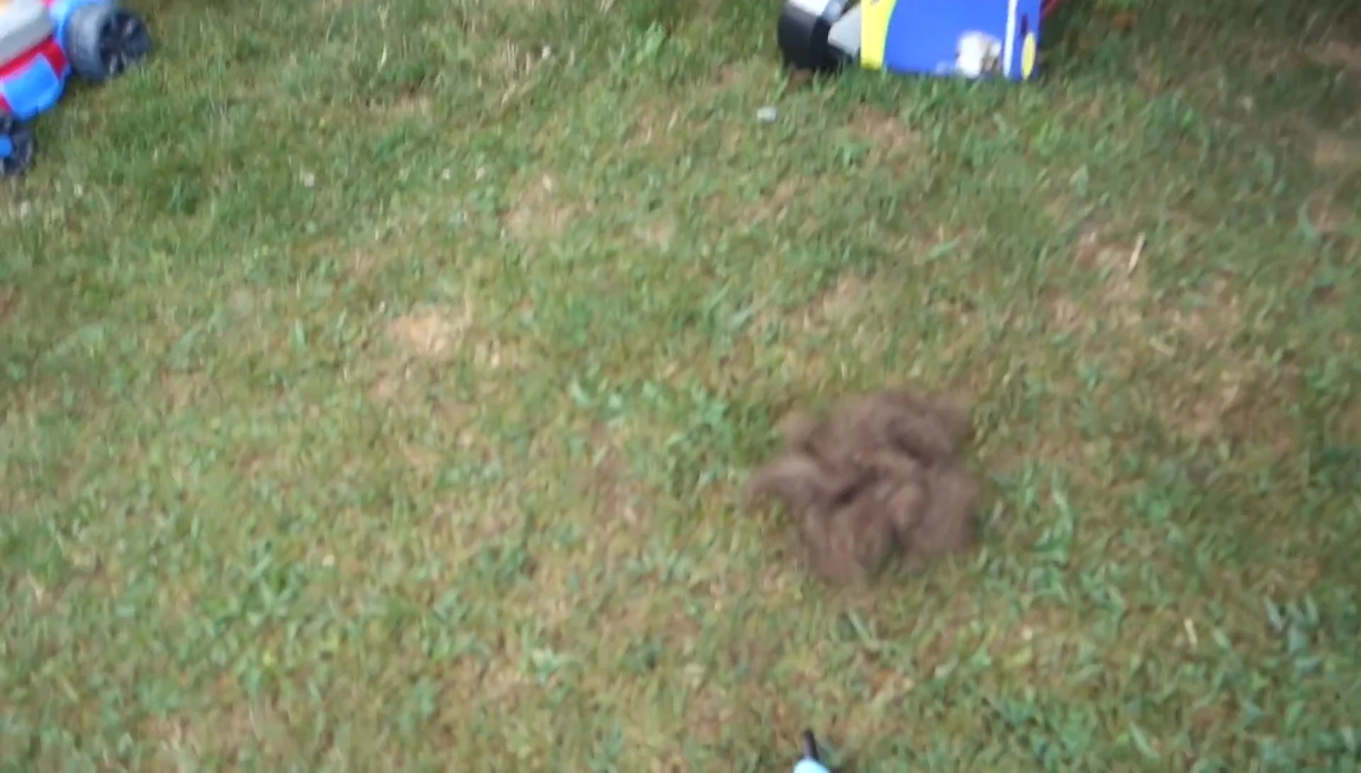 The DakPets tool next to the final pile of fur