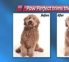Paw Perfect Pet Fur Trimmer Review: Cordless Grooming Made Easy