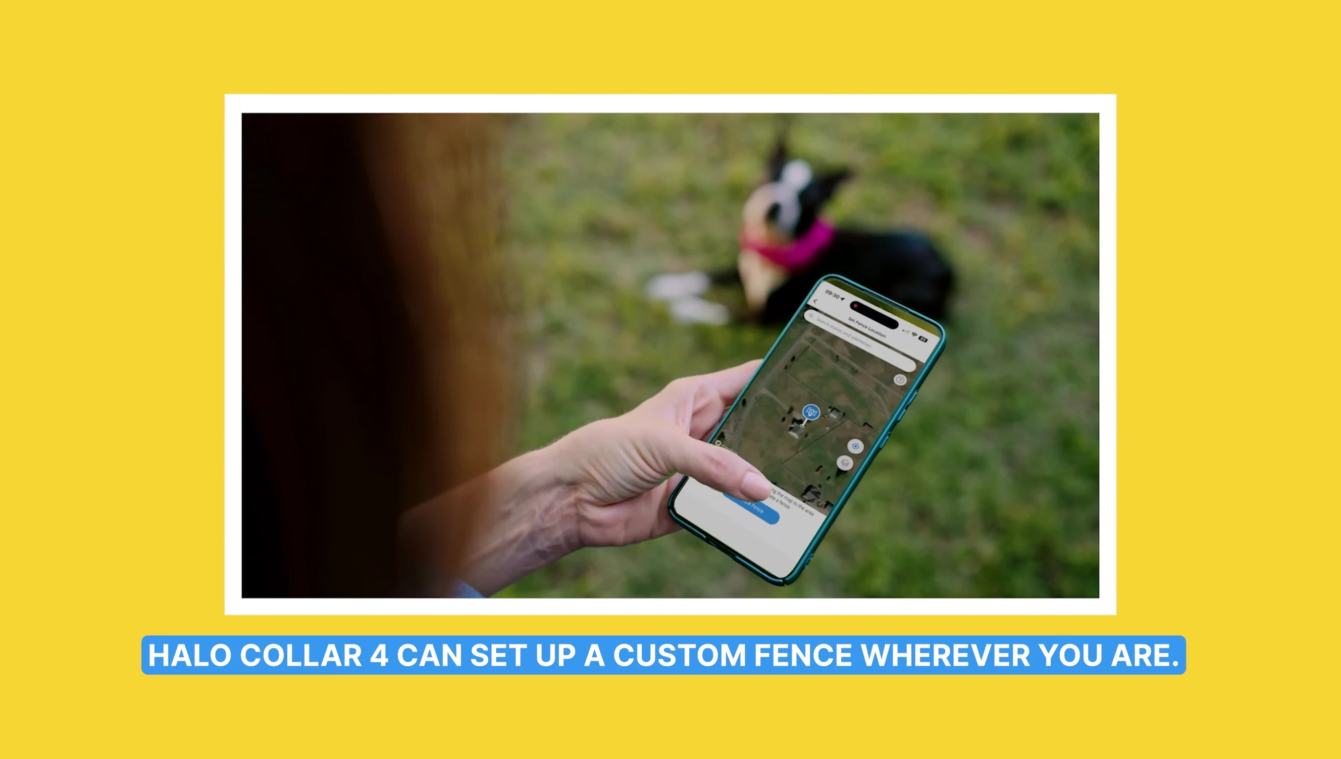 Screenshot of the Halo Collar 4 app showing virtual fence setup