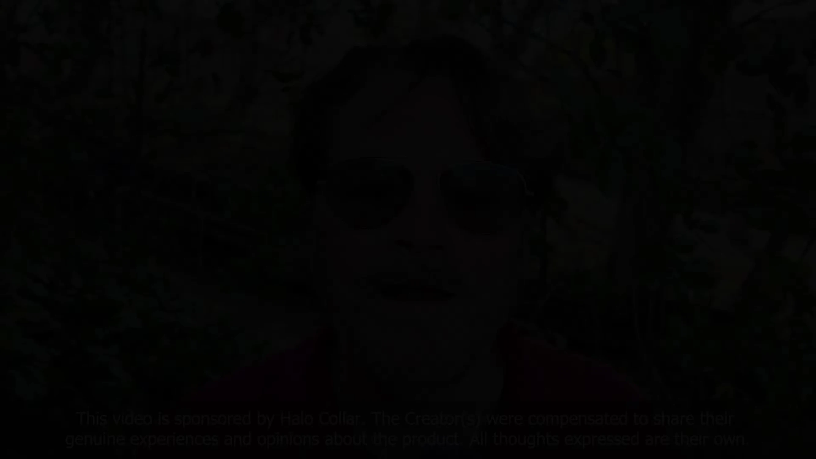 A dog owner talking about Father's Day gift