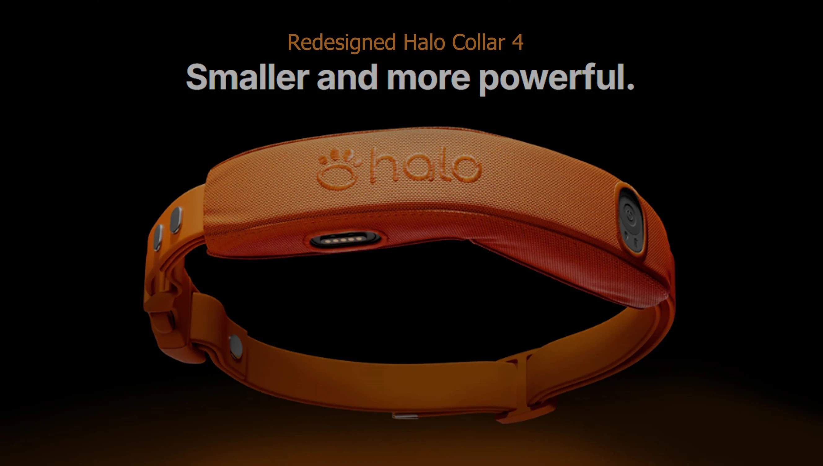 A final shot highlighting the Halo Collar 4's features