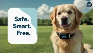 Best GPS Dog Fences in 2025: A Comprehensive Guide