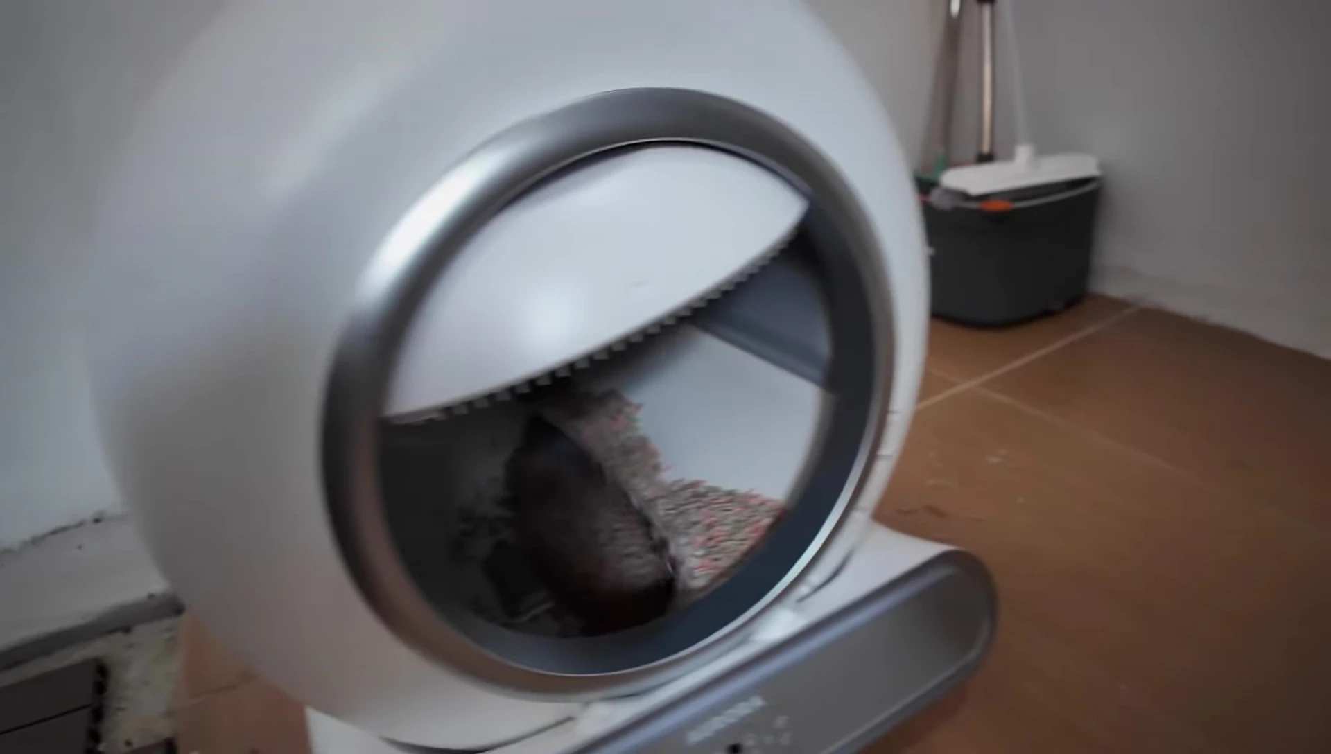 The litter box cleaning cycle in action.