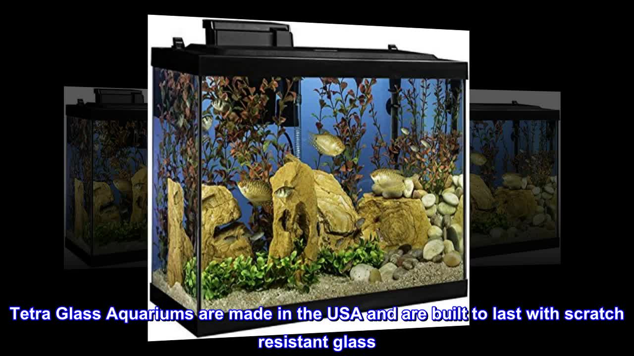Close-up of the Tetra Aquarium 20 Gallon Kit showcasing its scratch-resistant glass.