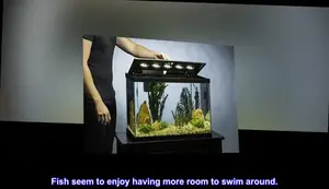 Tetra Aquarium 20 Gallon Kit Review: A Comprehensive Look
