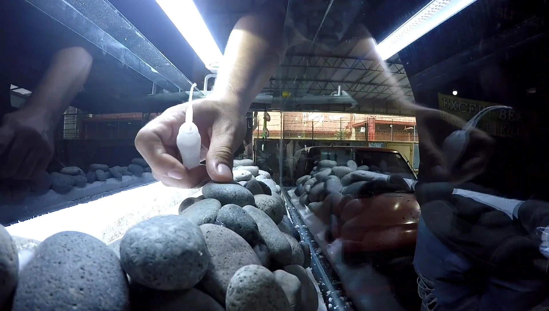 Cotton balls being used to fill the gaps between rocks.
