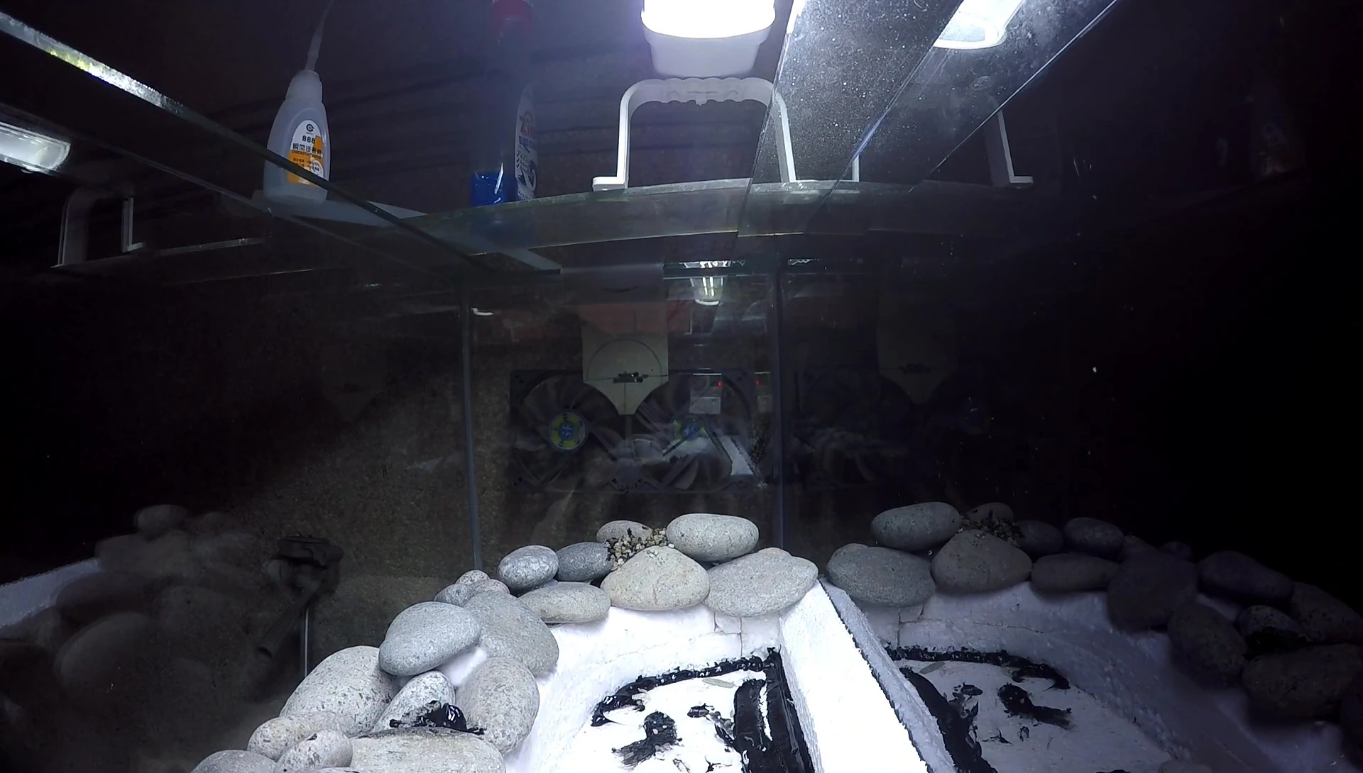 The almost complete aquascape with the sand layer.