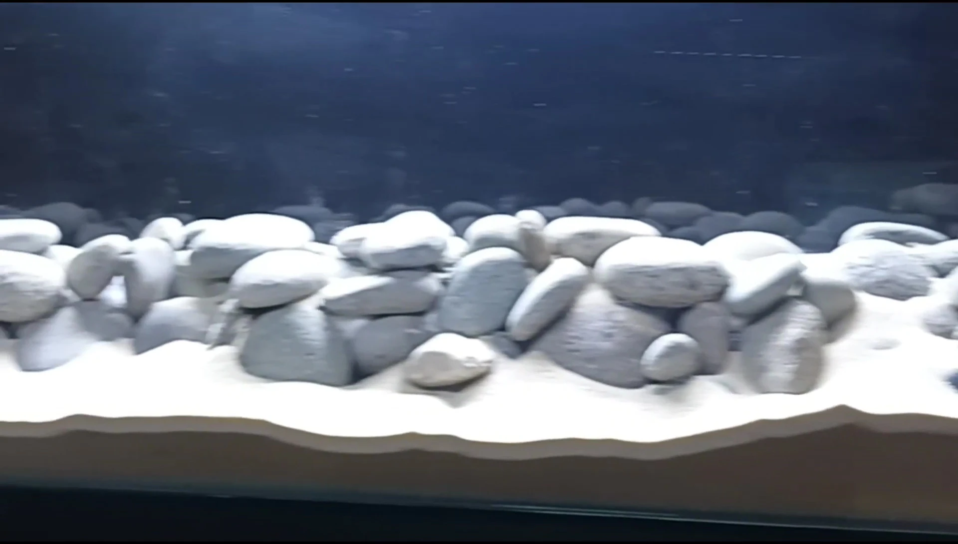 Final shot of the aquascape before filling.