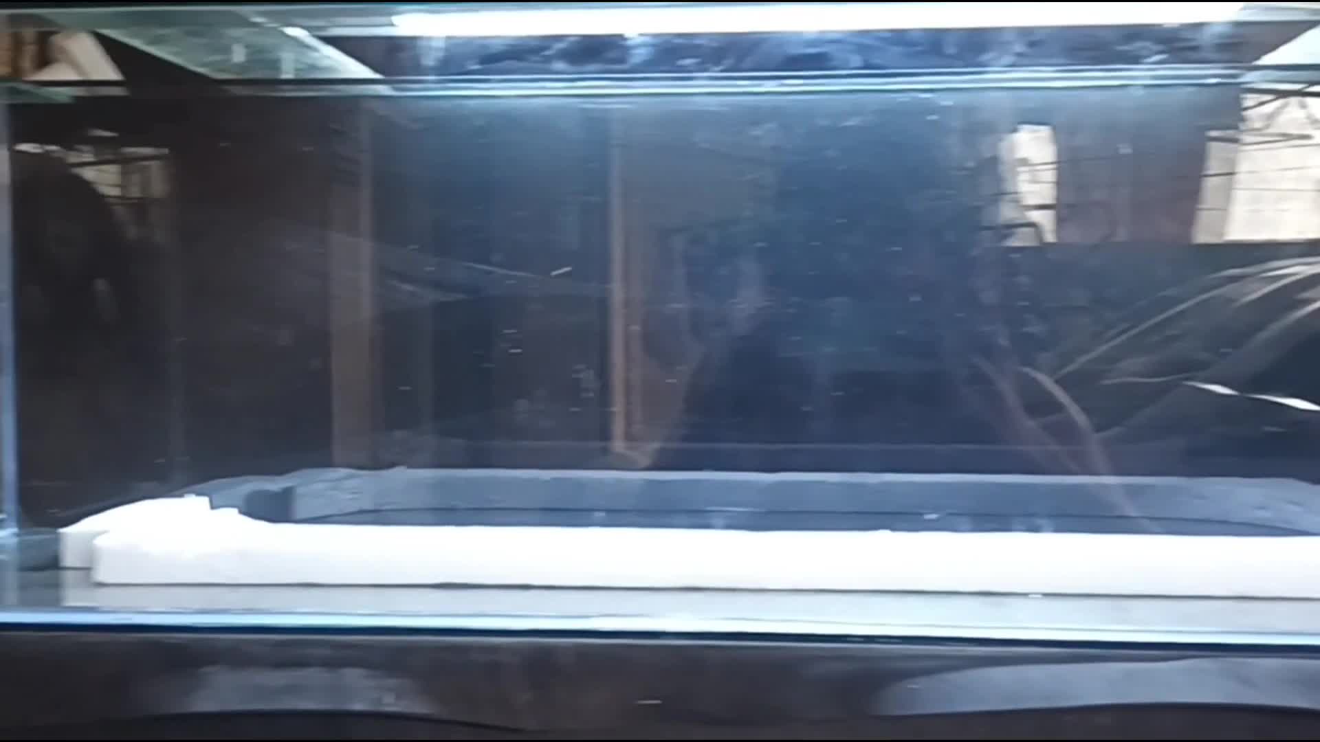 Initial shot of the 44-inch tank, ready for the aquascape project.