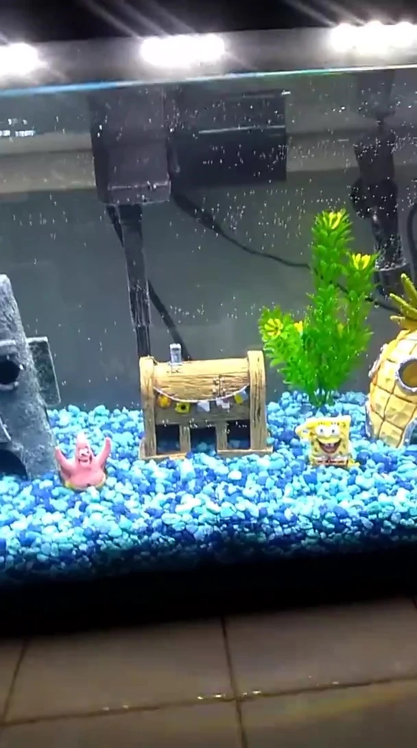 End screen of the video.