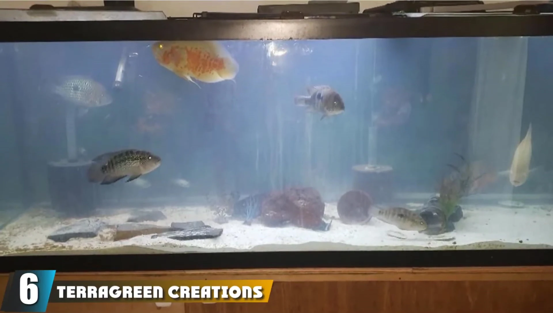 Terreen Creations wash pea gravel
