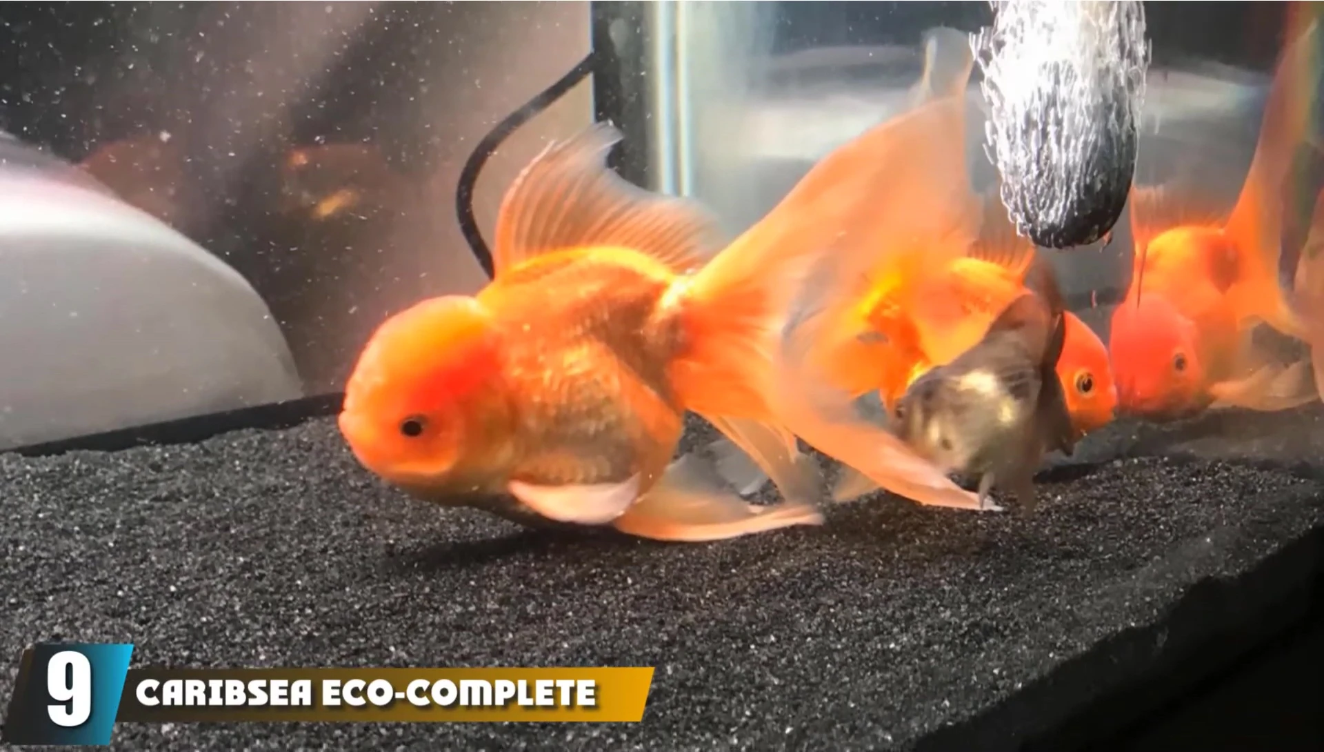 CaribSea Eco Complete