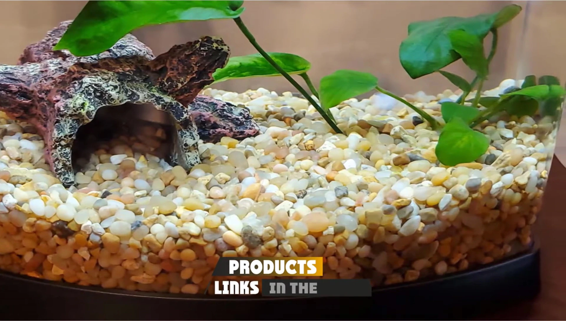 Shallow Creek gravel in an aquarium setup