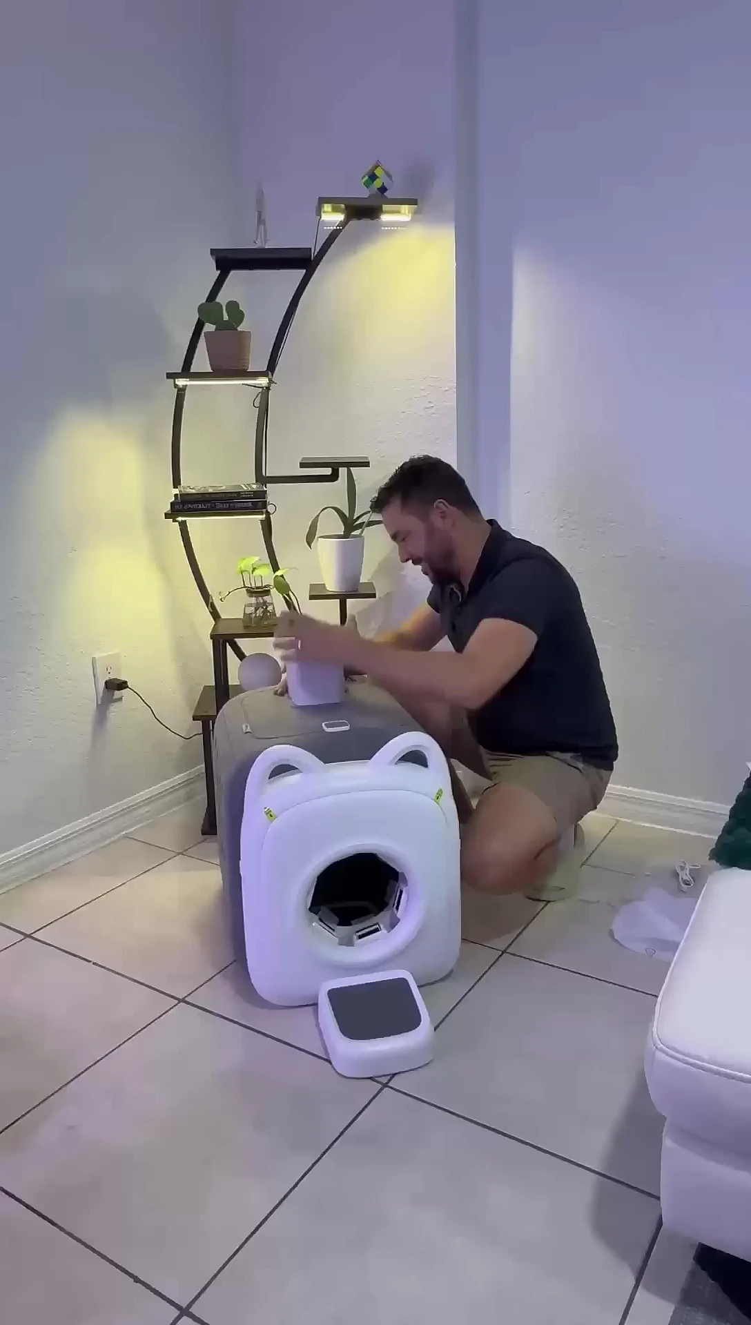 A cat interacting with the AutoComb while receiving treats.