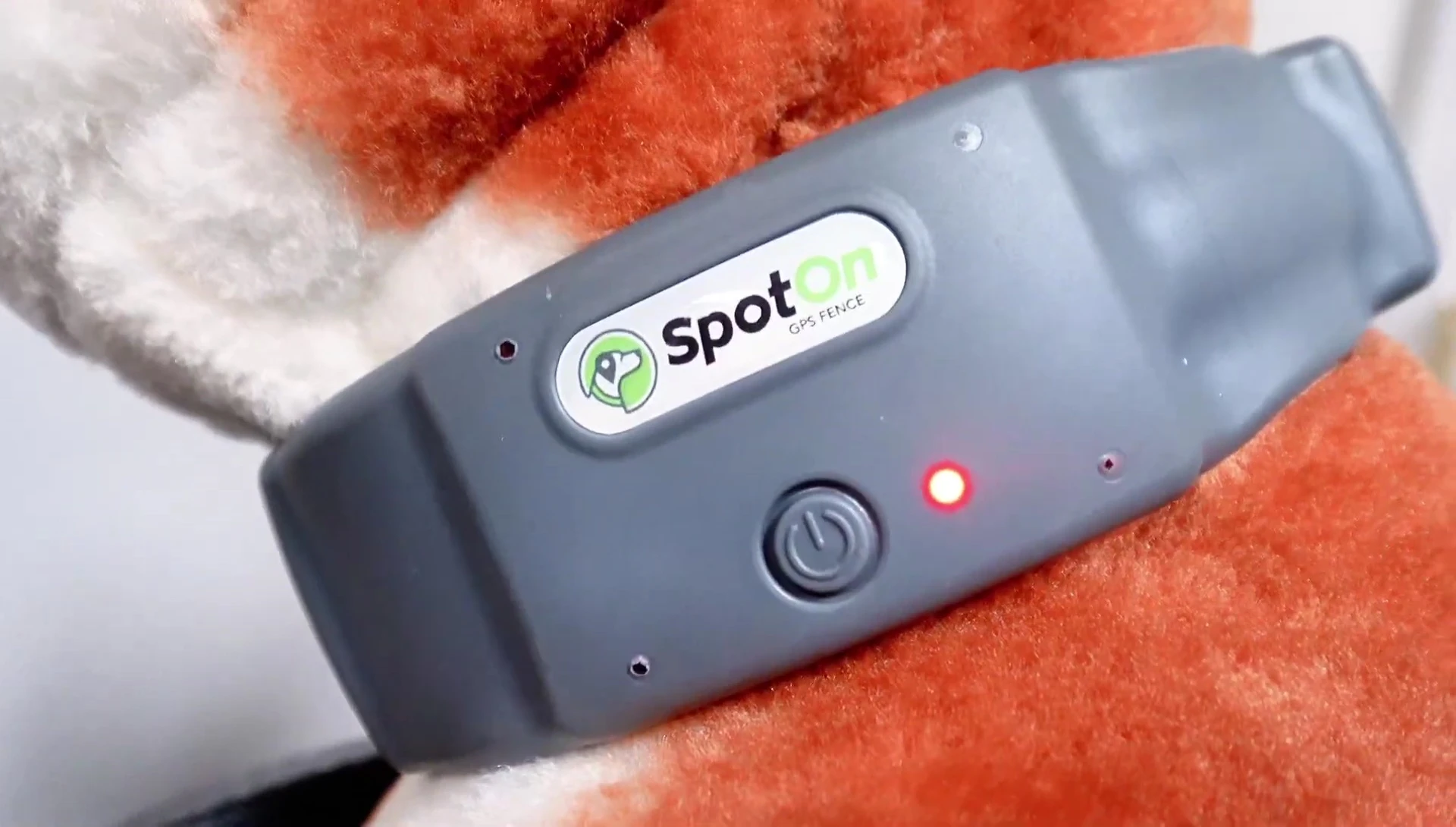 SpotOn collar displaying a solid red light, indicating a problem.
