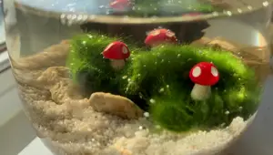 Best Aquatic Plants for Nano Tanks Under 5 Gallons
