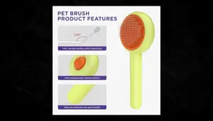 Top 9 Best Cat Brushes in 2025: Ultimate Grooming Guide