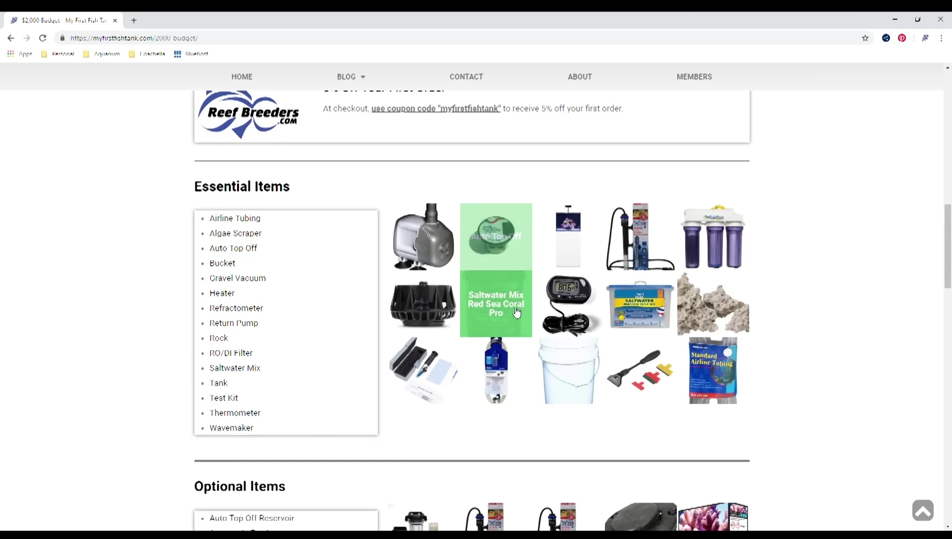 Screenshot showcasing essential, optional, and upgradeable items within a budget tier.
