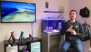 Saltwater Aquarium Setup: A 30-Step Guide for Beginners