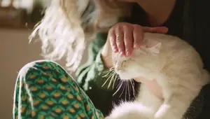 Cat Nail Trimming: A Step-by-Step Guide for Beginners