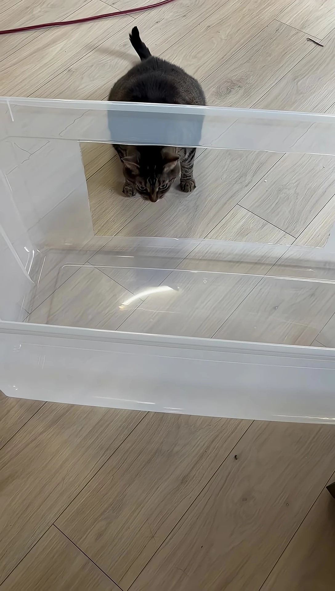The completed DIY litter box.