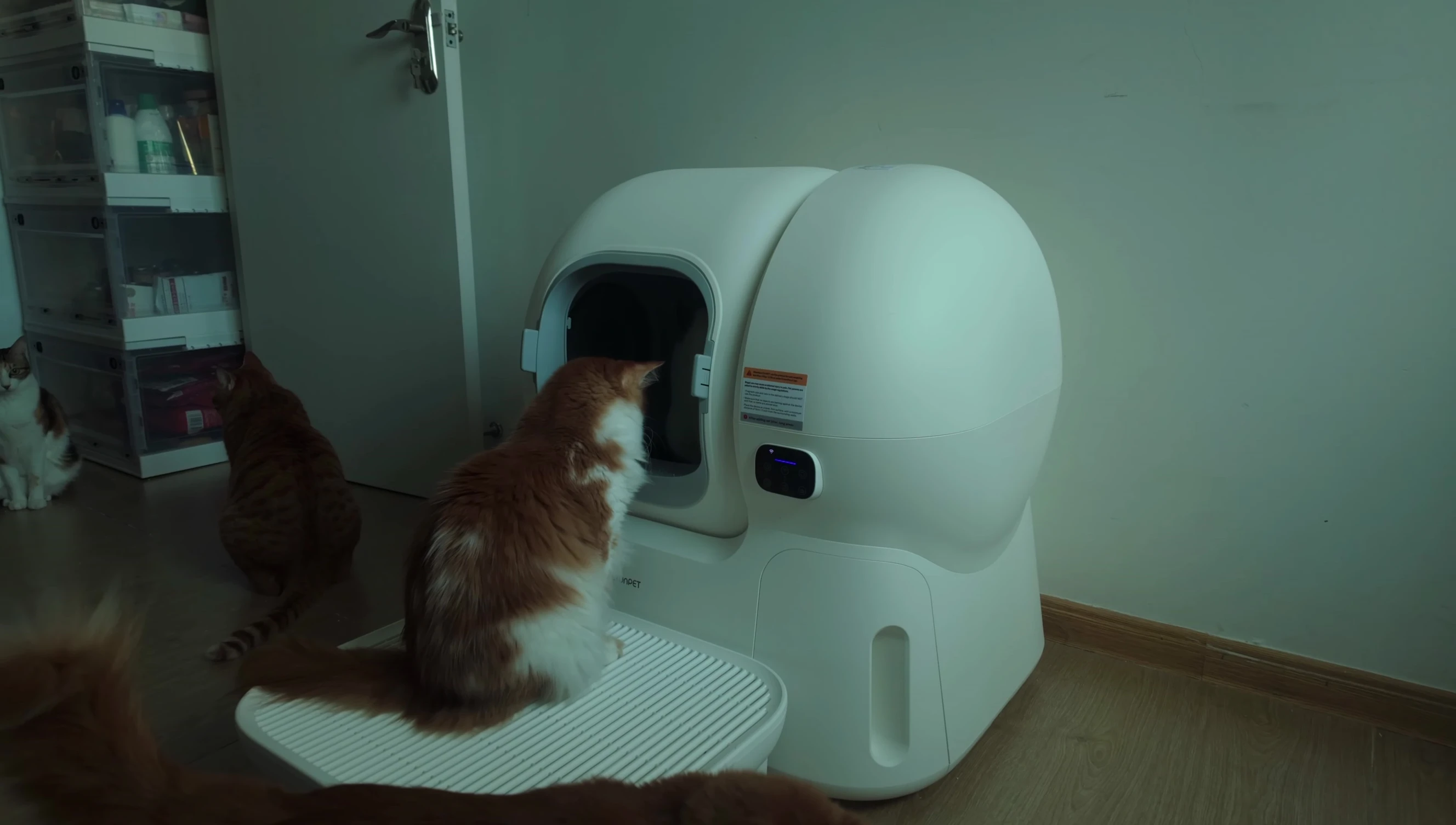 Final shot emphasizing the value of choosing the right litter box.