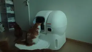 Self-Cleaning Litter Boxes 2025: A Comprehensive Guide & Review