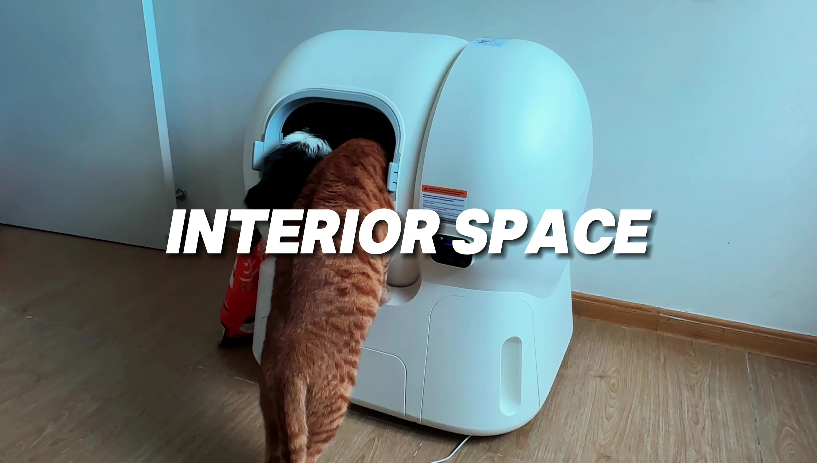 Visual representation of ideal interior space size for a litter box.