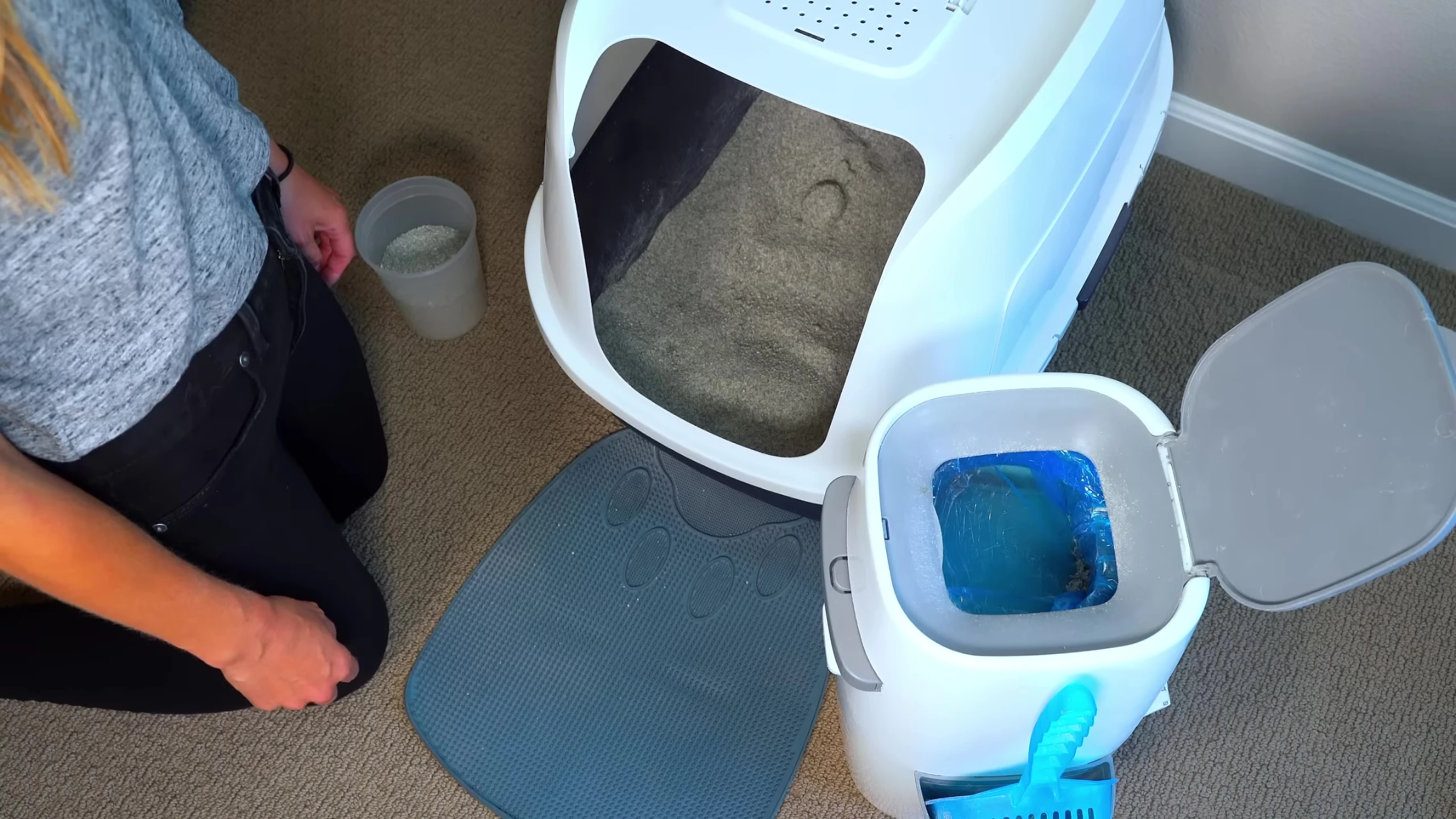 Cleaning a litter box.