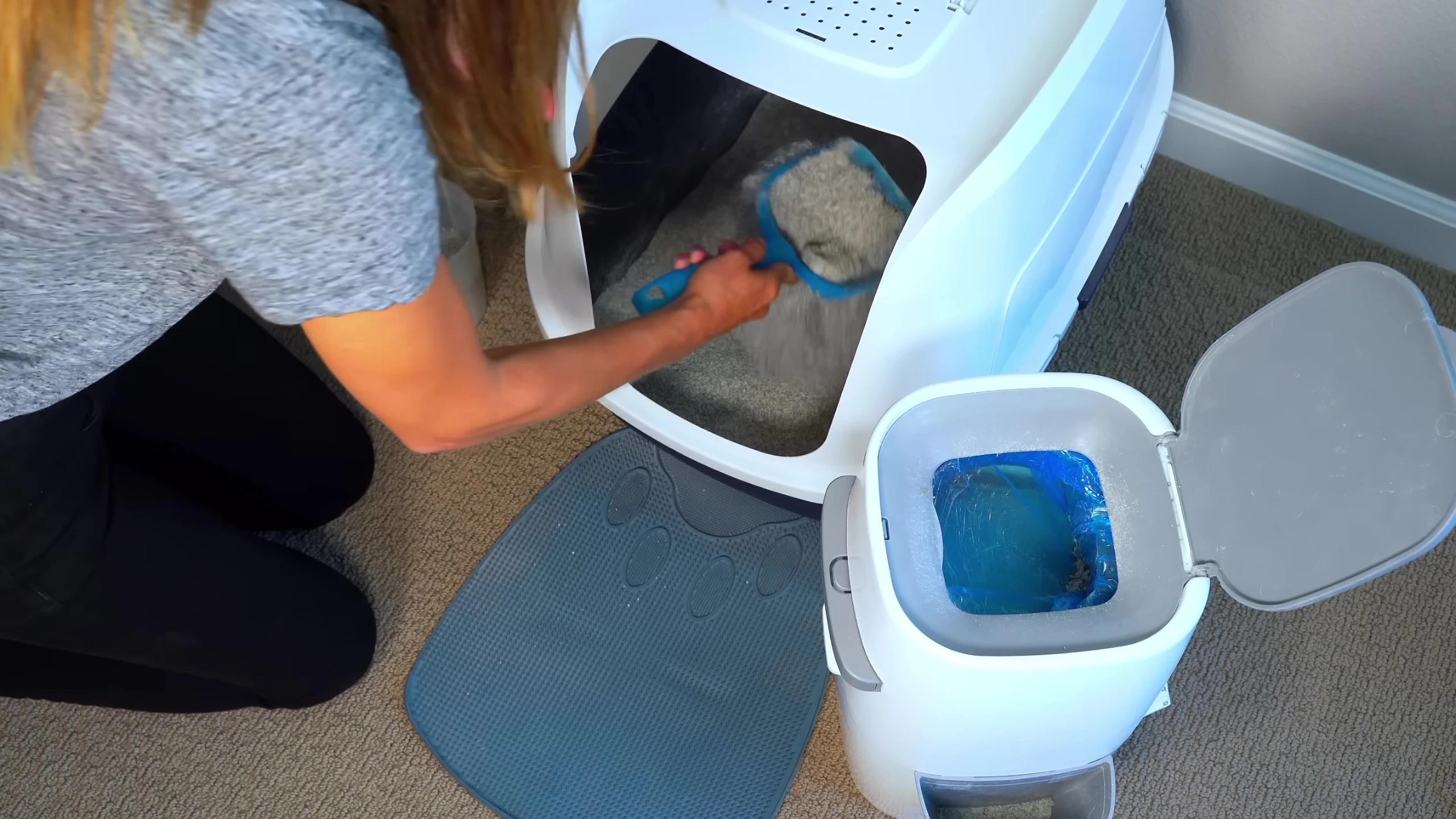 Image relating to toilet training.