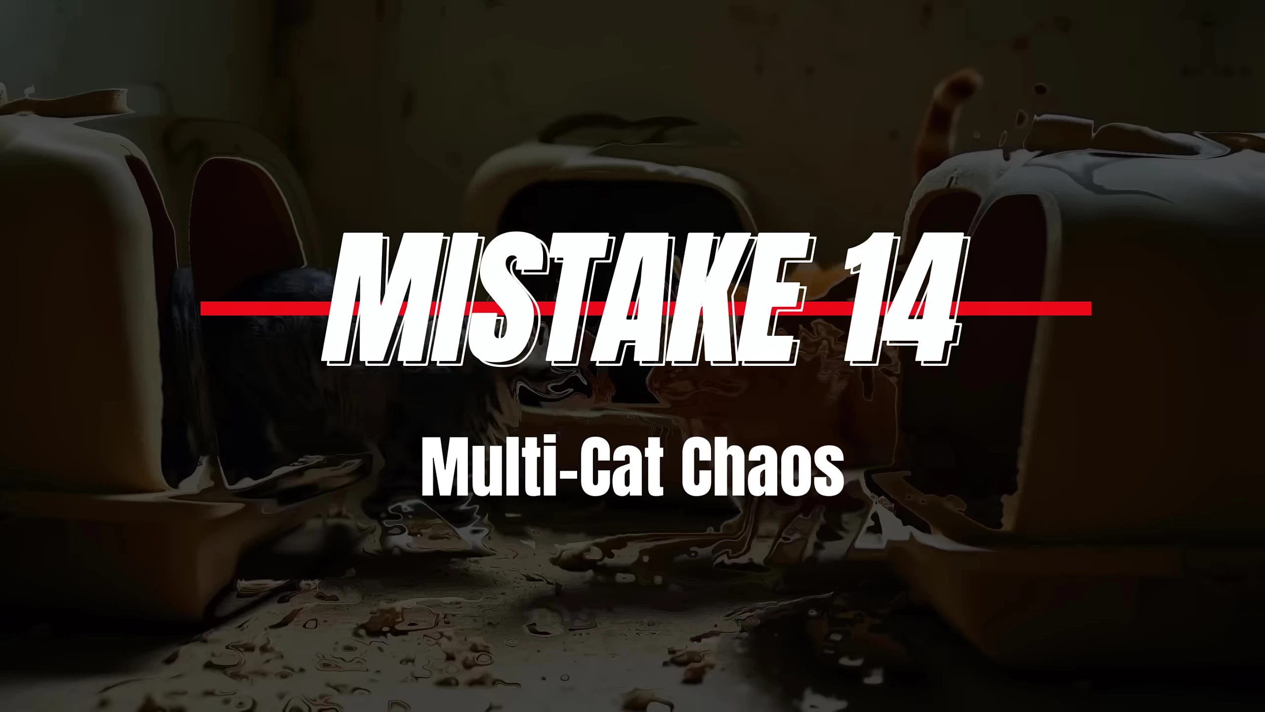 Multiple cats and litter boxes.