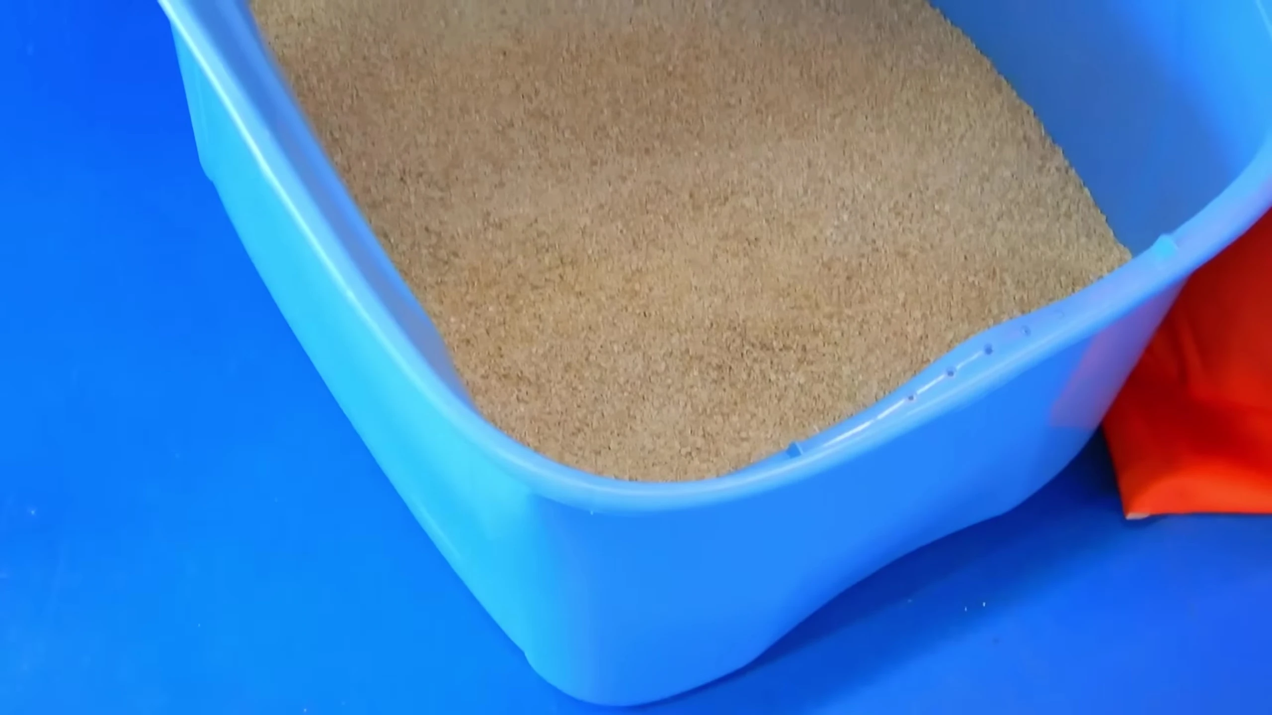 An open litter box with multiple entrances.