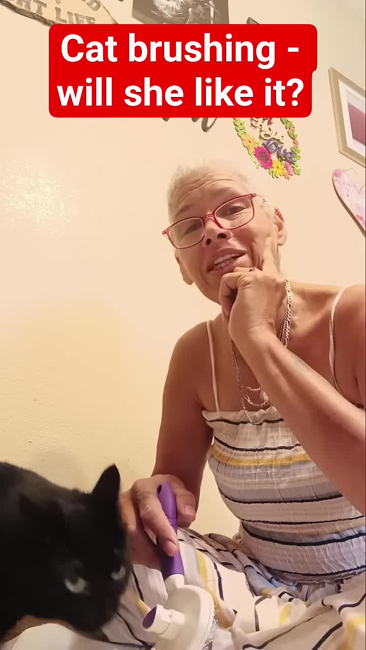 The cat showing signs of displeasure during brushing.