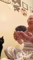 Brushing My Cat: A Summertime Struggle (and Triumph!)