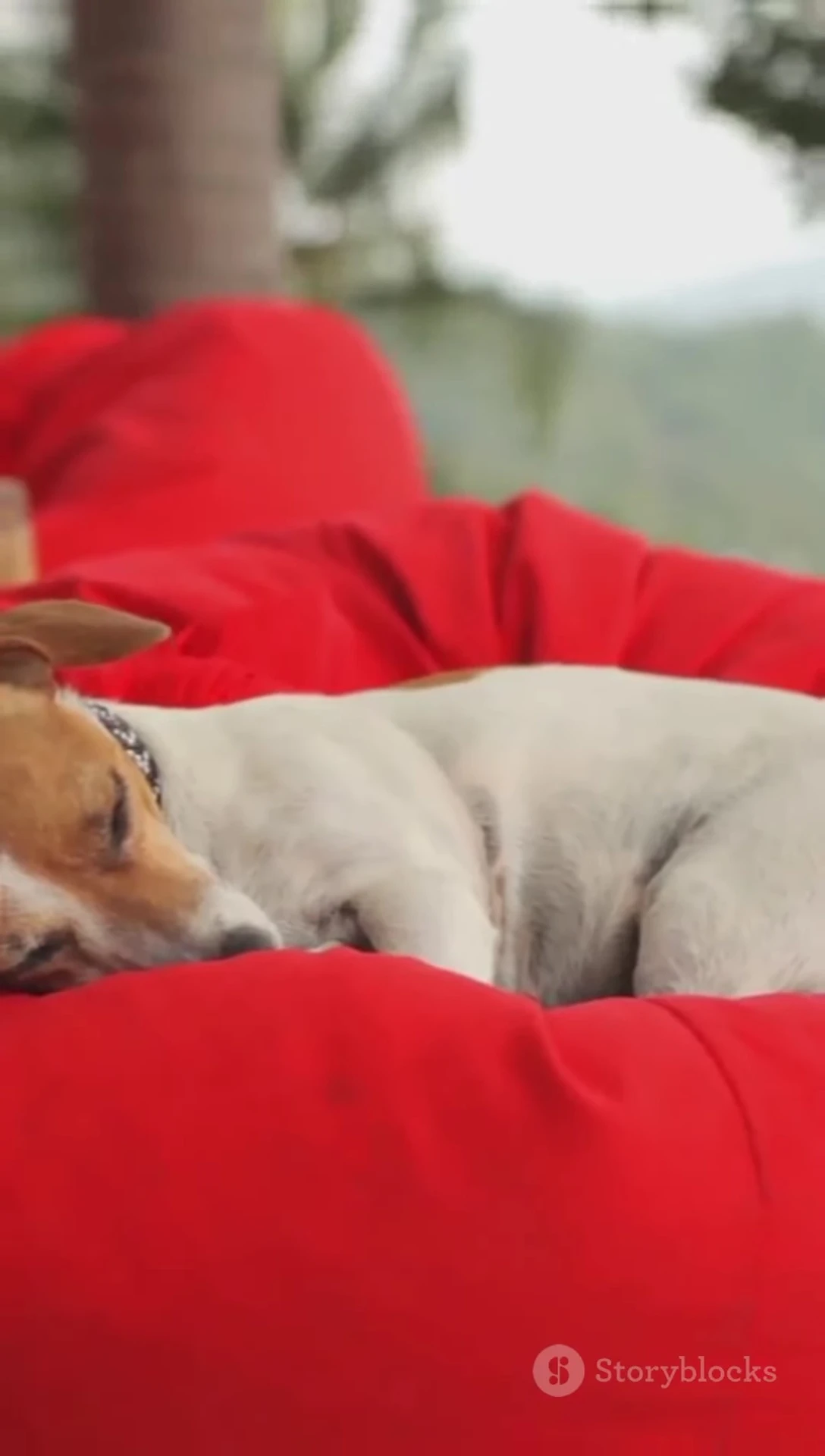 A close up shot of the waterproof and washable pet bed showing its material.