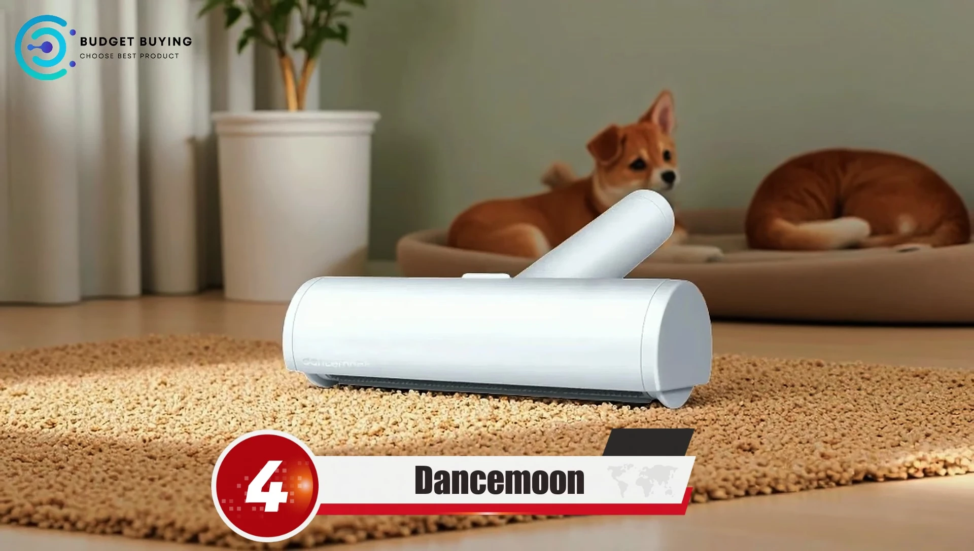 The Dance Moon Pet Hair Remover displayed