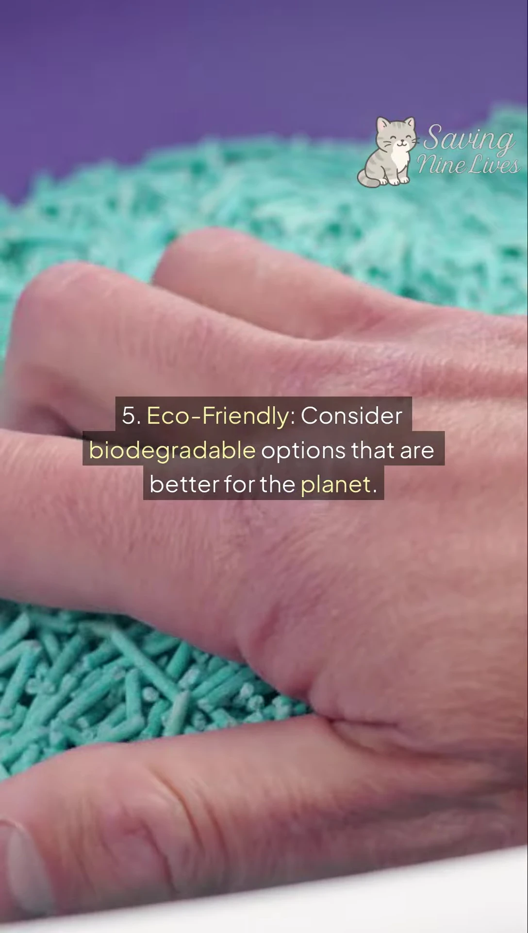 Image highlighting eco-friendly and non-toxic cat litter options