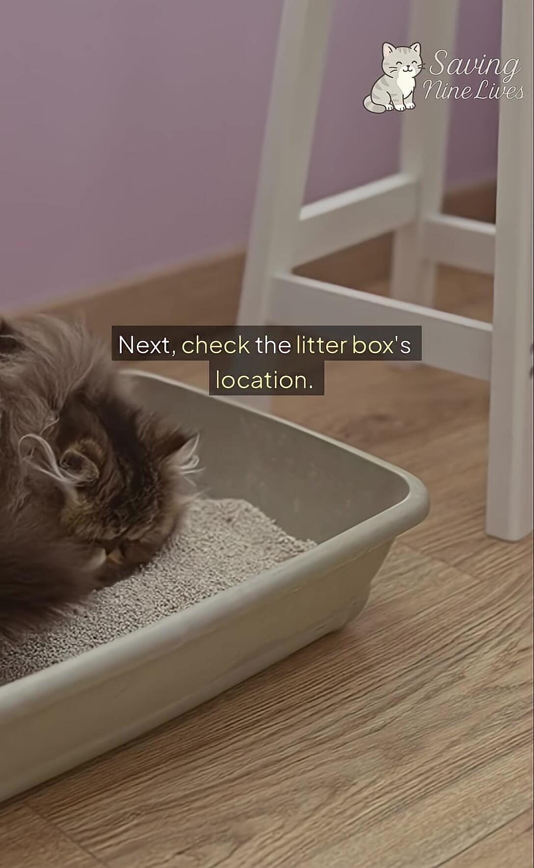 Image showing a litter box in a quiet, out-of-the-way location.