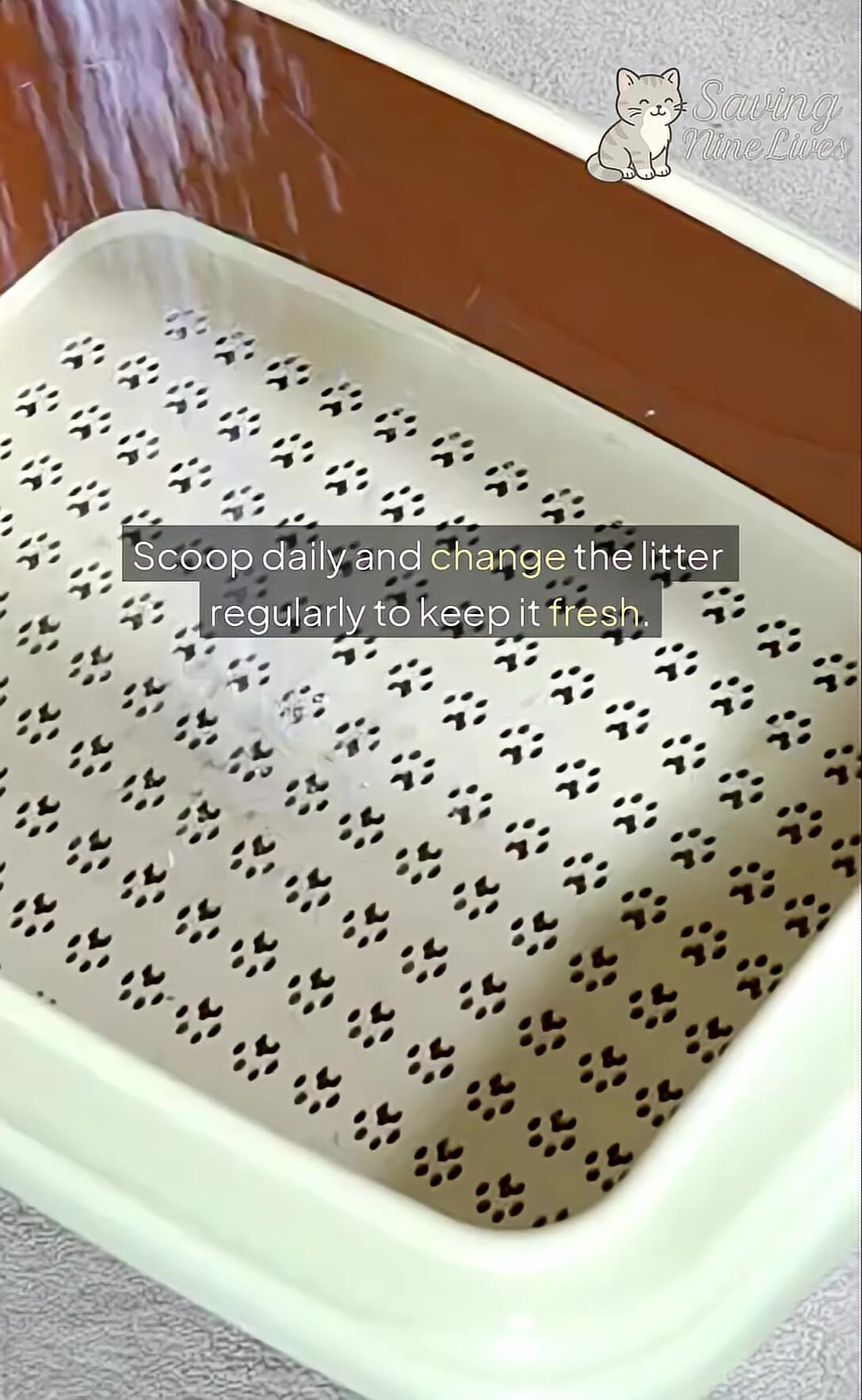 Image depicting the process of scooping and cleaning a litter box.